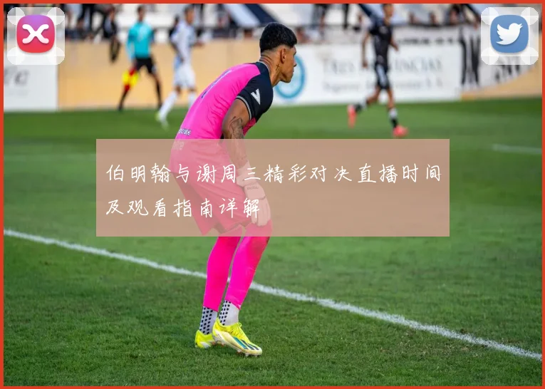 伯明翰与谢周三精彩对决直播时间及观看指南详解