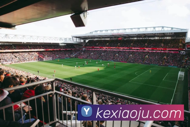 beats365服务体系